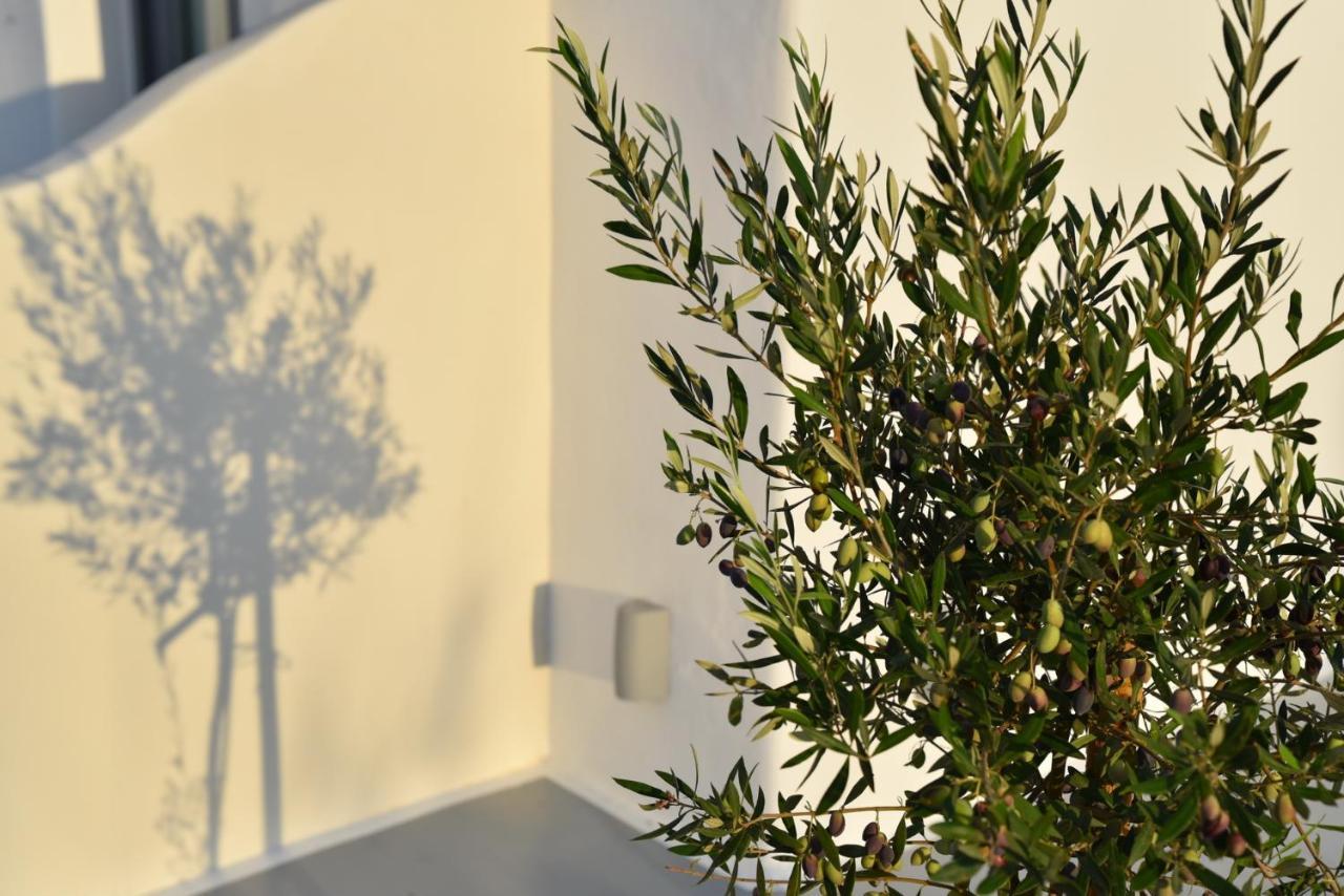 Crystal Mare Suites Naxos City 外观 照片